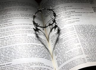 Toxic Behaviors to Avoid as an Elder