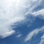 WCC addresses high-level segment of COP25