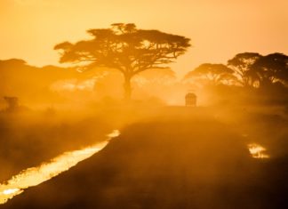 Al-Shabaab Kills 2, Injures 10 in Kenya