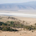 Tanzania: A long-standing issue, with potential for change