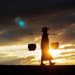 ICC Helps Displaced Farmers Rebuild in Iraq