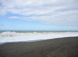 Assessment at WCC raises awareness about impact of Cyclone Idai on Malawi, Mozambique, Zimbabwe