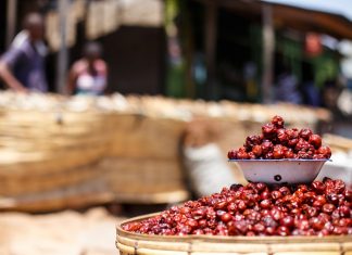 Pope Francis laments that tons of food is thrown away as people starve