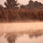 Cistercian nuns seek help to build new monastery in Wisconsin