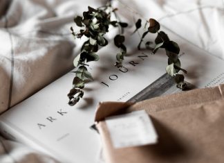 Classic Story From the Bible, Noah and the Ark, Comes to TBN in Movie Format