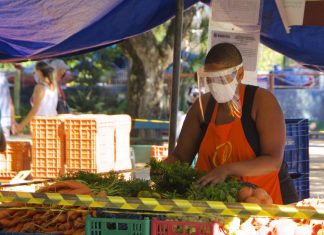 WCC participates in dialogue on COVID-19 vaccines with WHO director general